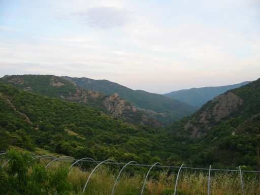 Click for original image