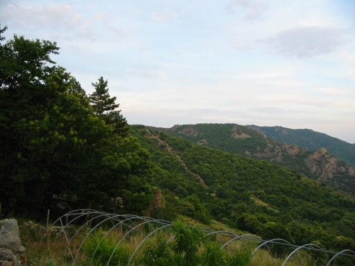 Click for original image