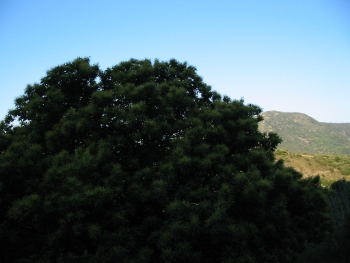 Click for original image