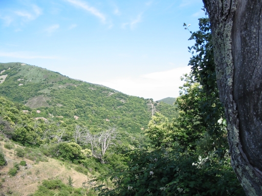 Click for original image