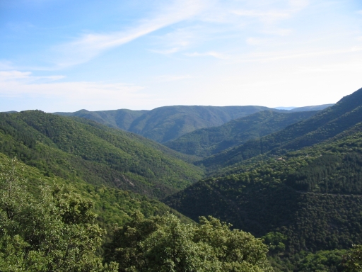 Click for original image