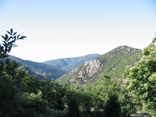 Click for original image