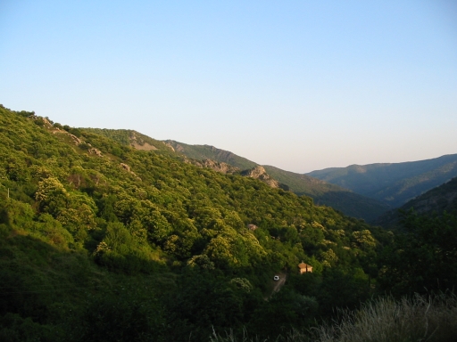 Click for original image