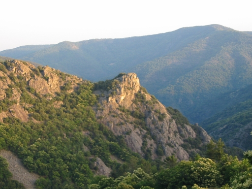 Click for original image