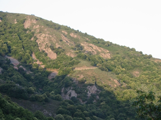 Click for original image