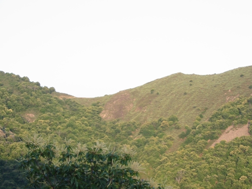 Click for original image