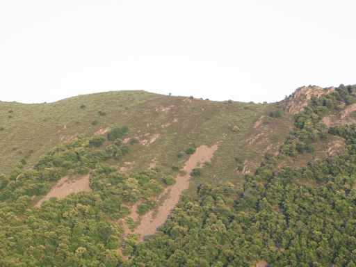 Click for original image