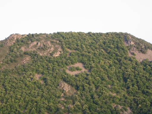 Click for original image