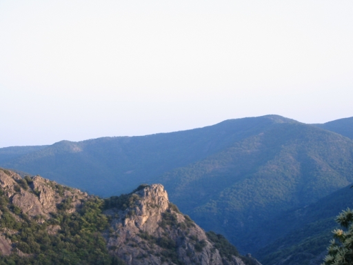 Click for original image