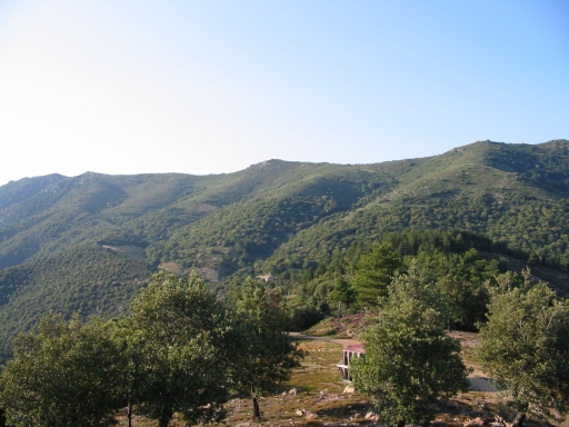 Click for original image