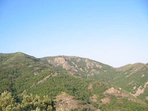 Click for original image