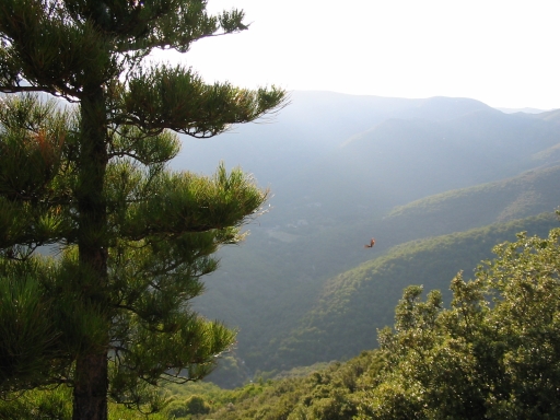 Click for original image