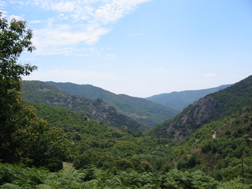 Click for original image