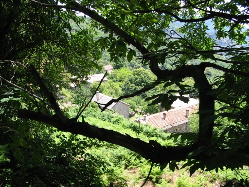 Click for original image