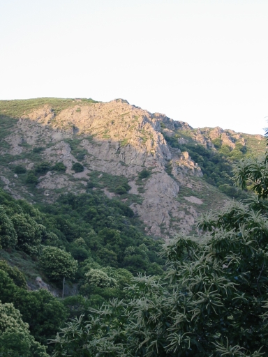 Click for original image