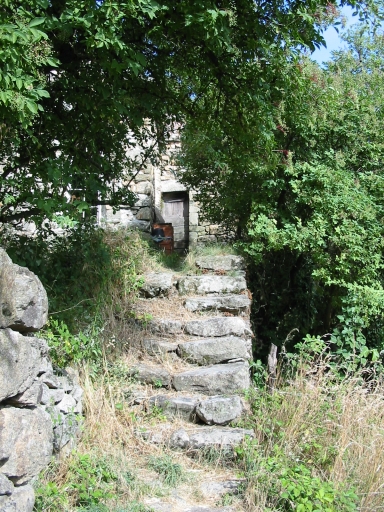 Click for original image