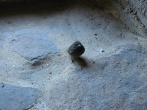 Click for original image