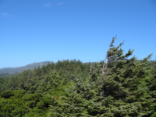 Click for original image