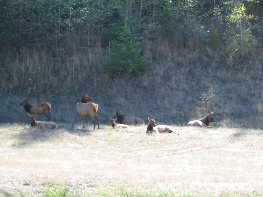 Click for original image