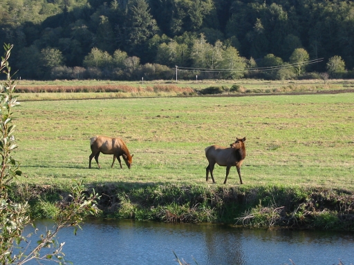 Click for original image