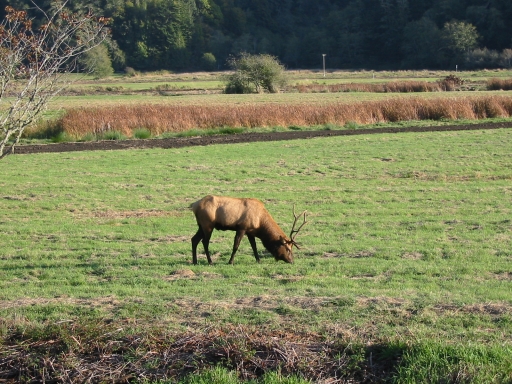 Click for original image