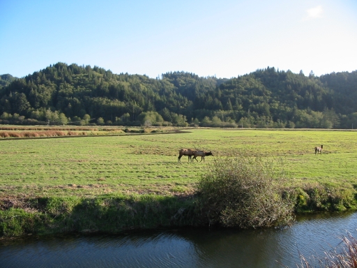 Click for original image