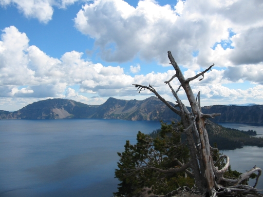 Click for original image