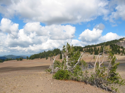 Click for original image