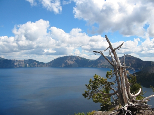 Click for original image