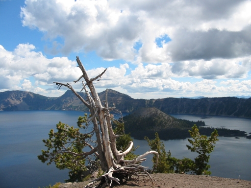 Click for original image