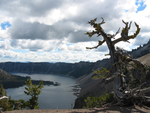 Click for original image