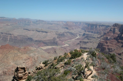 Click for original image