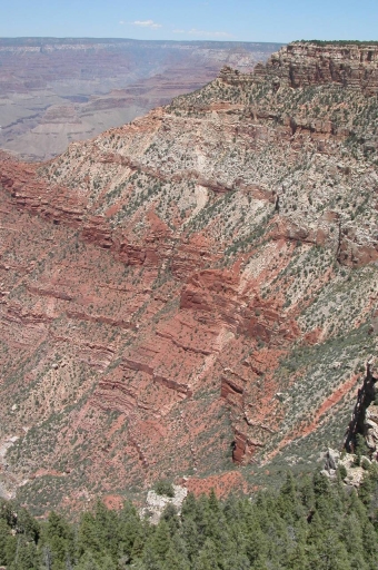 Click for original image