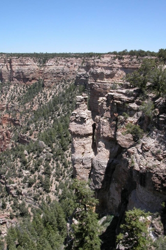 Click for original image