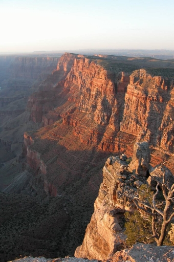 Click for original image