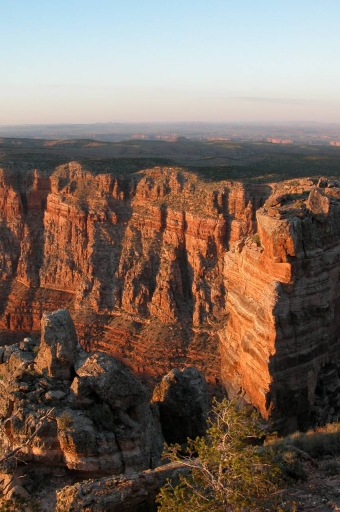 Click for original image