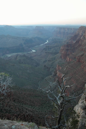 Click for original image