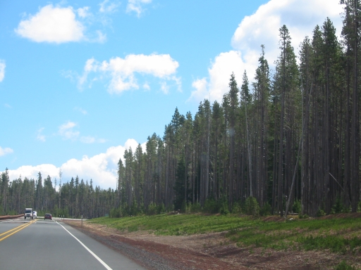 Click for original image