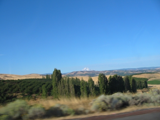 Click for original image