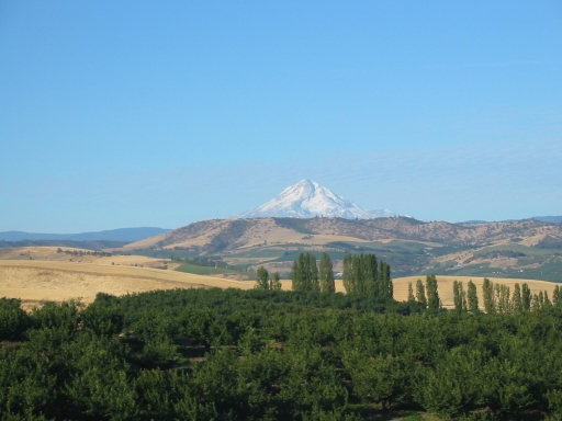 Click for original image