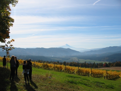 Click for original image