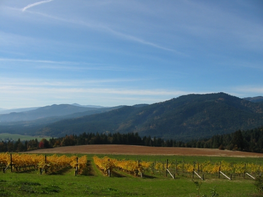 Click for original image