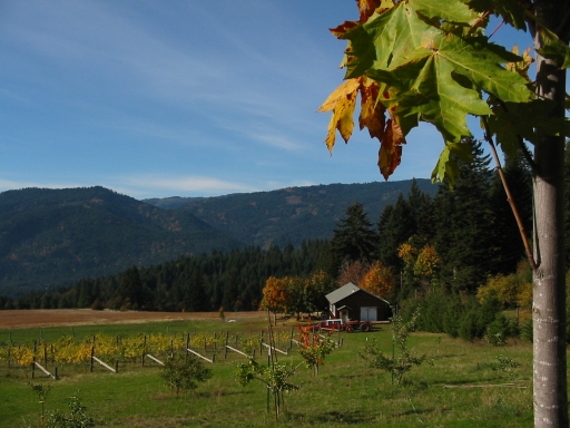 Click for original image