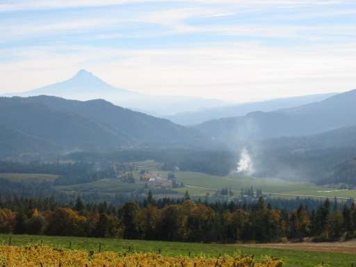 Click for original image