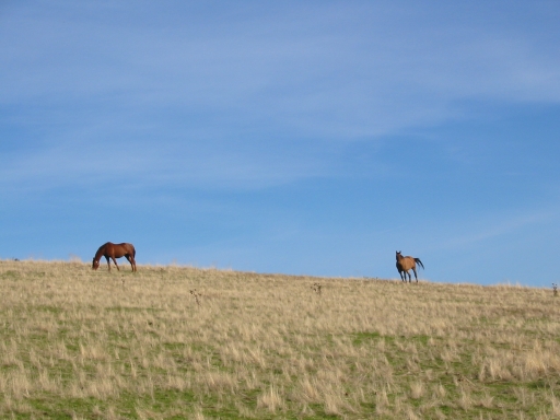 Click for original image