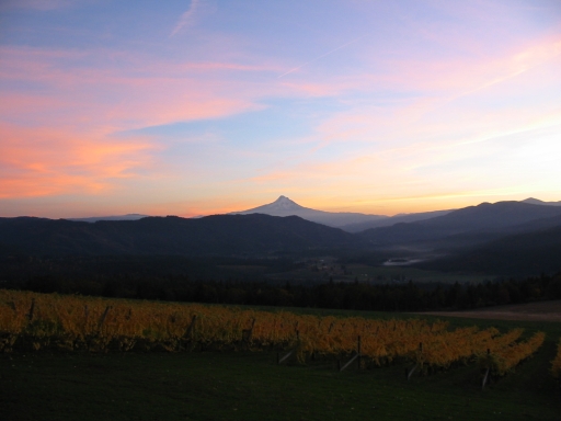 Click for original image