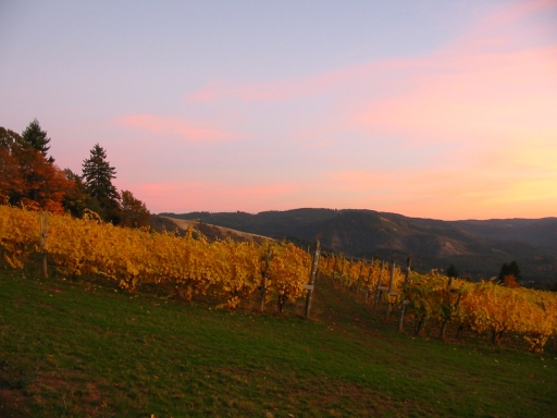 Click for original image