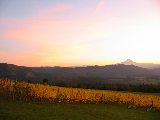 Click for original image