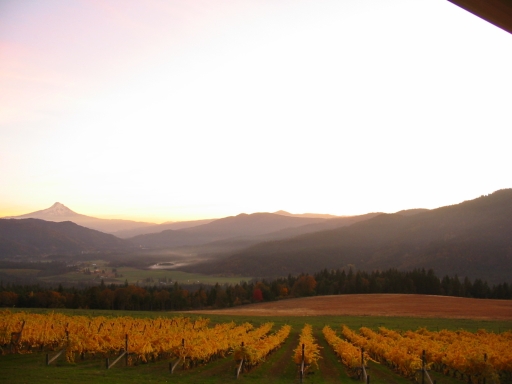 Click for original image