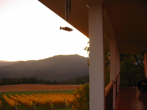 Click for original image